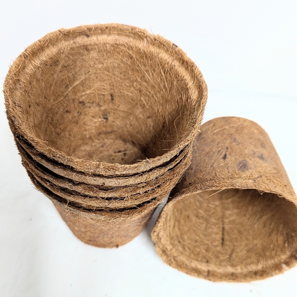 Set of Six Coire Biodegradable Plant Pots